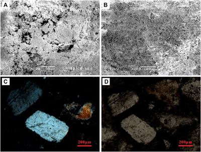 Ore-Forming Fluid Evolution of Shallow Polyhalite Deposits in the Kunteyi Playa in the North Qaidam Basin